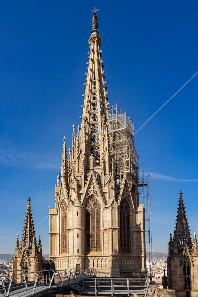 pexels photo 14131159.jpeg